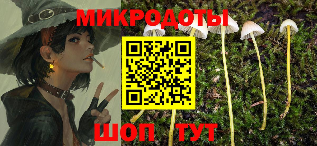 Псилоцибиновые грибы Psilocybine cubensis Можайск